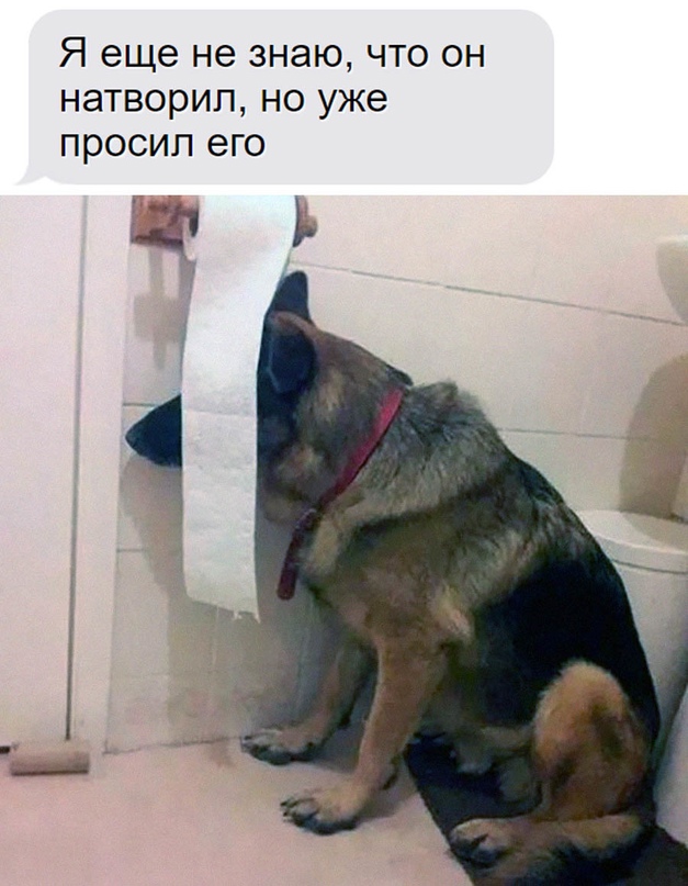 Немного картинок для настроения - 161