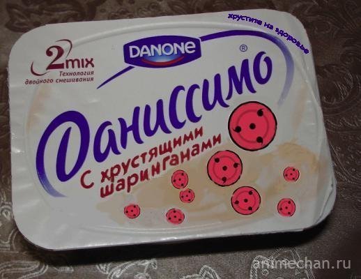 Российский Danone после национализации возглавил министр сельского хозяйства Чечни