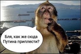 У этого рыбака лучший зимний клев!