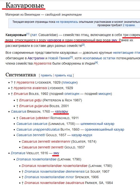 Веселая ферма: первое яичко от эму