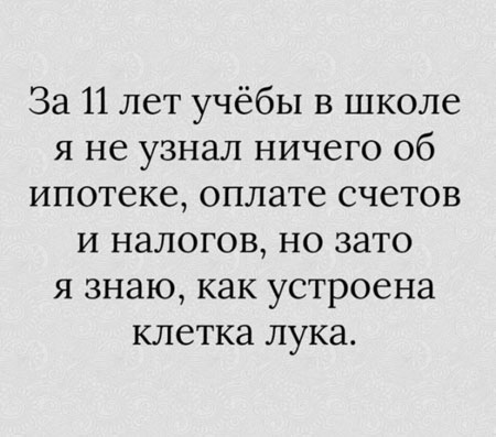 К обеду подвезли свежие баяны