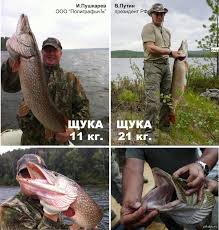 Поймал — отпусти! Какие новые штрафы ждут рыбаков любителей в 2024 году