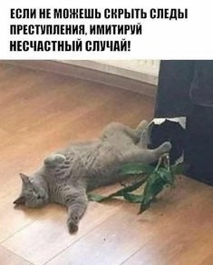 Картинков вам разных.