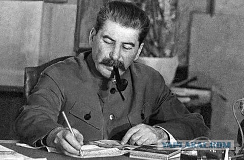 Поездка на Мальдивы за 59 млн рублей стала самым дорогим туром из России в 2024 году
