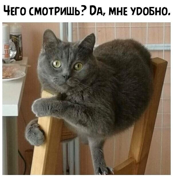Так себе картинки 09.03.25