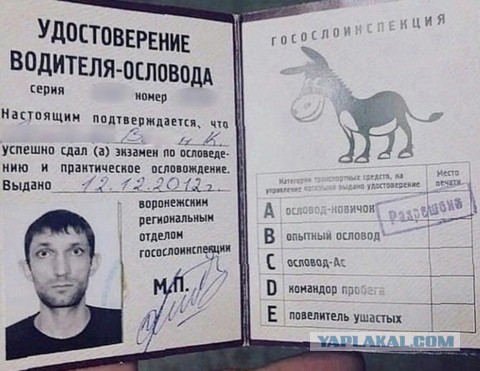 Ничего необычного, просто небольшая суета на свадьбе в КЧР
