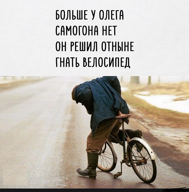 Весёлый полтишок 14.05.25.