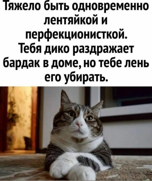 К котовторнику: подборка картинок-баянов с котиками и про котиков. Выпуск 9