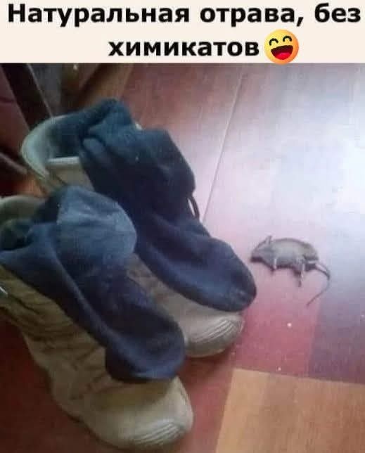Маленькая пятница 10.09