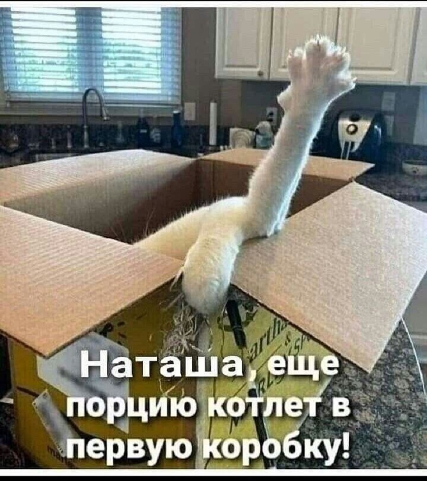 20718284.jpg