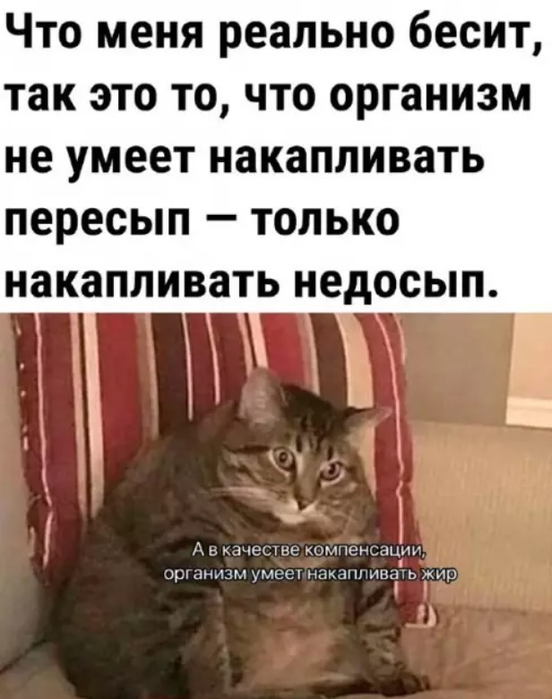 Картиночки, баянчики 04 апреля