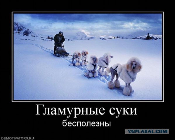 Светская львица о Блокаде