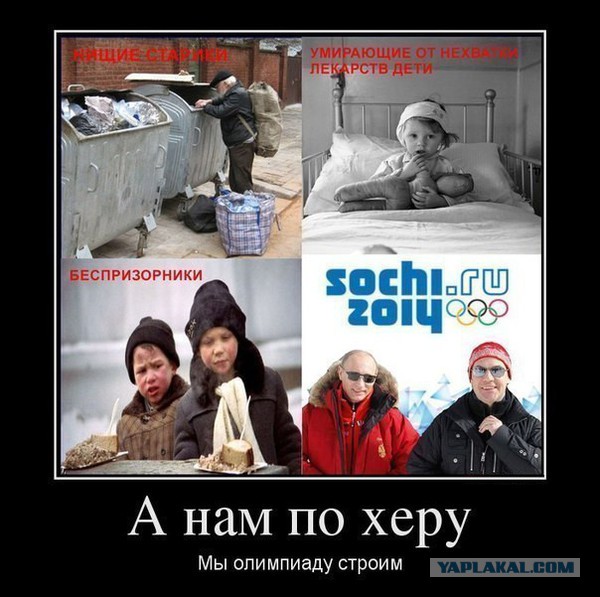Капитан Кенгуру - Олимпиада это очень хорошо!