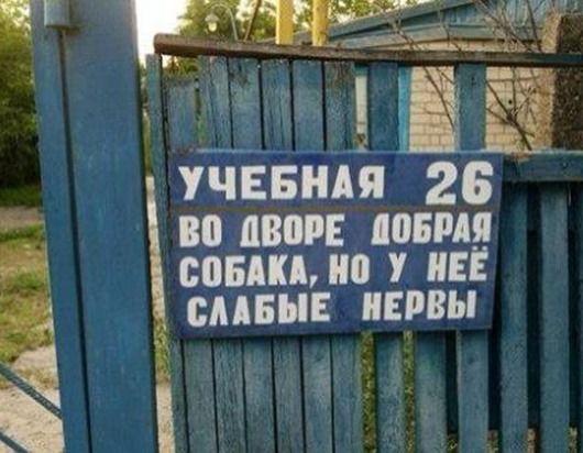 Такое может быть только в России