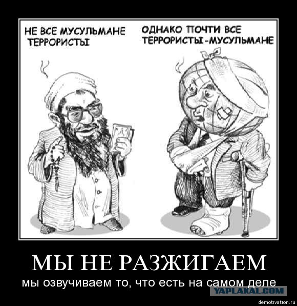 Демотиваторы.