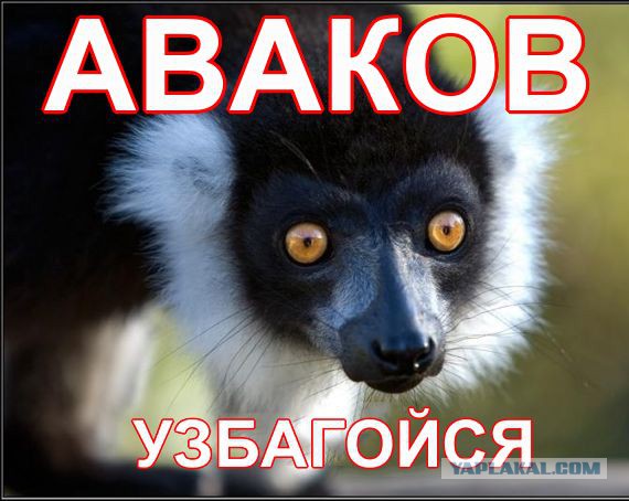 Рамзан Кадыров попросил Арсена Авакова успокоиться
