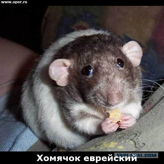 Поднимаем настроение