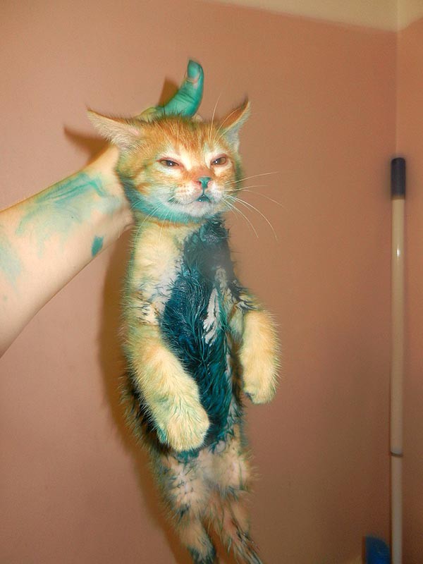 Плюсомет со шпалометом