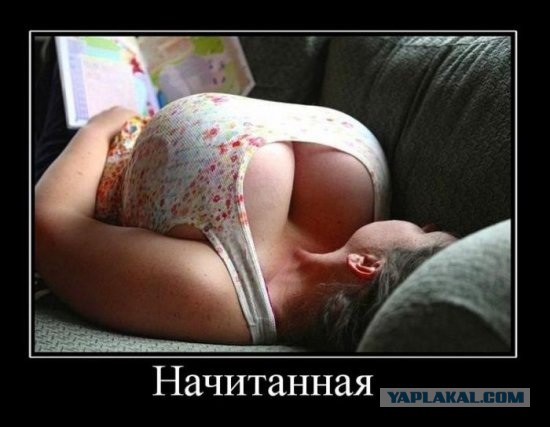 Пошлые демотиваторы 18+, веселые картинки