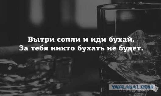 Горячие демотиваторы