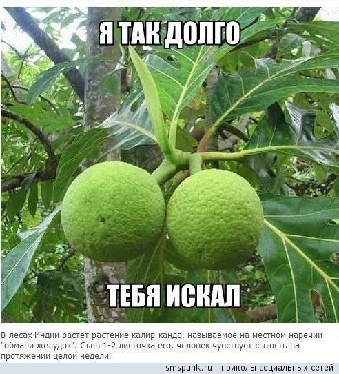 Смешные комментарии