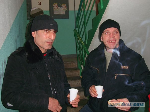 Вестник Соцсетей
