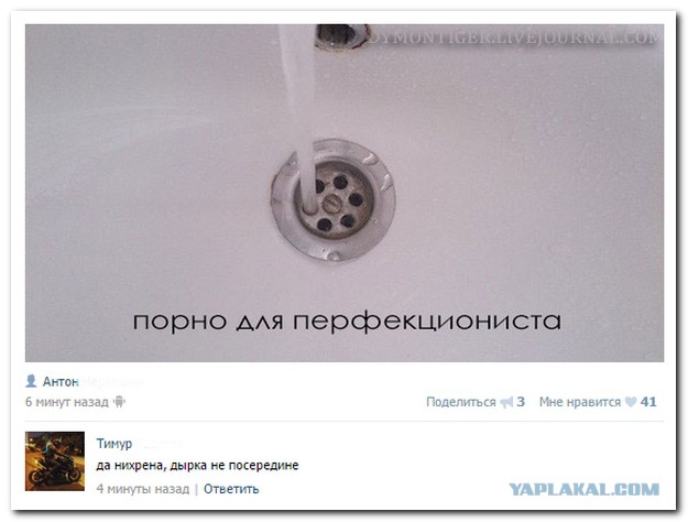 Смешные комментарии из социальных сетей