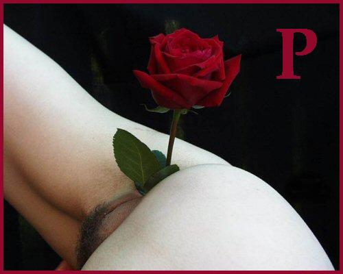 Азбука ЯПа в картинках для начинающих