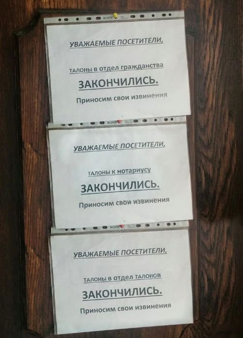 Забавные картинки из Сети