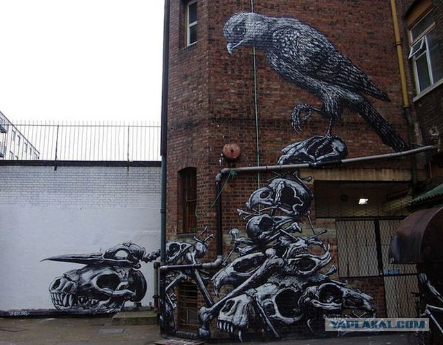 Реалистично до невозможности: уличное искусство