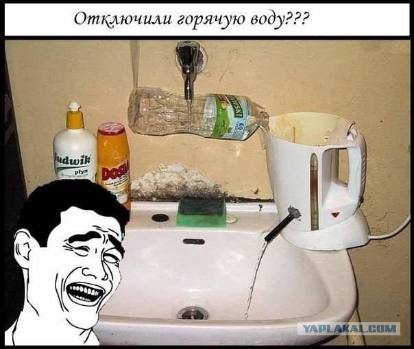 Прикольные картинки из сети