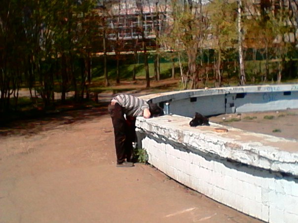 Ужасы и приколы из соцсетей 18+