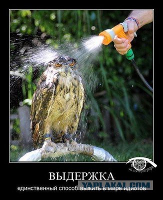 Ген всевластия. Эксперимент с крысами Дидье Дезора