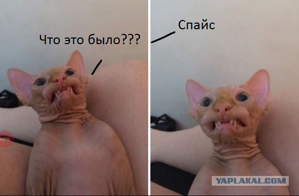 Улыбайтесь!