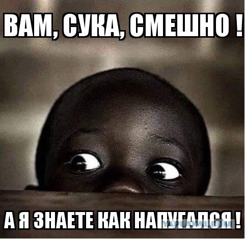 Линчевание негров в США
