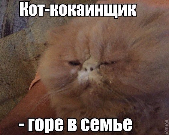 Подборка Картинок из сети
