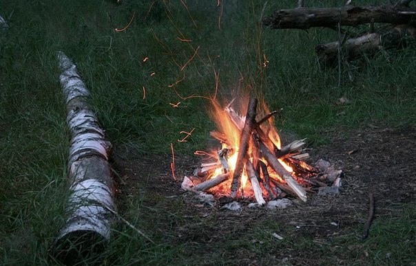 Интересные и веселые картинки