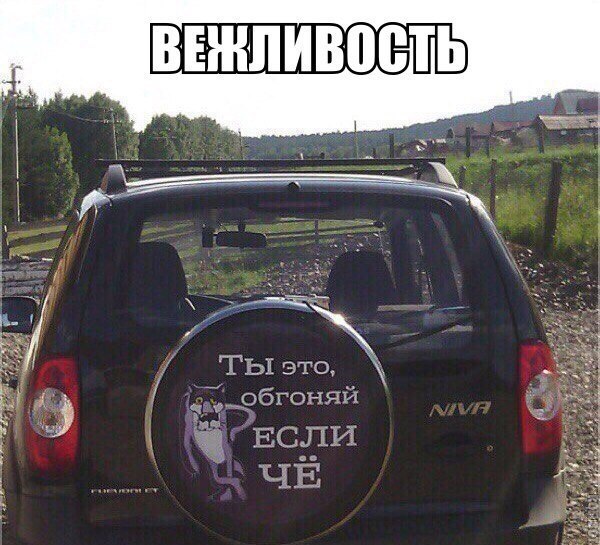 Подборка интересных и веселых картинок