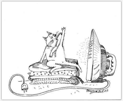 Правила поведения кошек (9 правил)