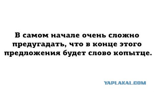 Когда у власти профессионалы
