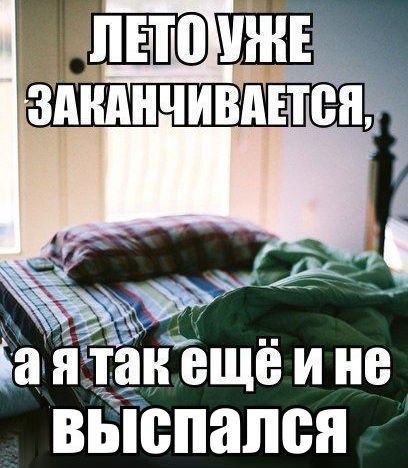 Порция картинок из сети