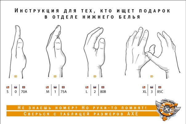 20 звезд с внушительной грудью: от 3-го до 7-го