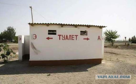 Немного когнитивного диссонанса