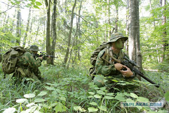 Азербайджанские наркодилеры жестоко расправились с грибниками, нашедшими их поляну с коноплей