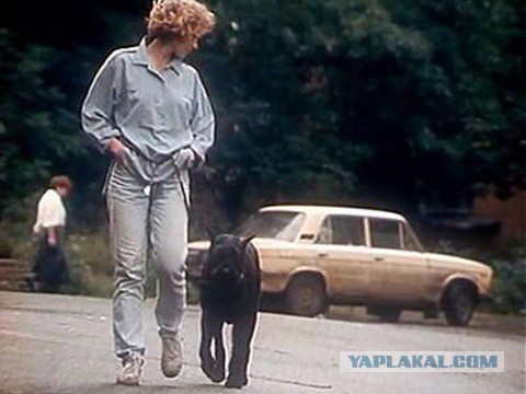 Любимцы детства: животные, которые вызывали умиление всего Советского Союза