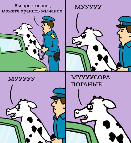 Странности & баяны