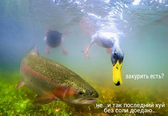 Подборка интересных и веселых картинок