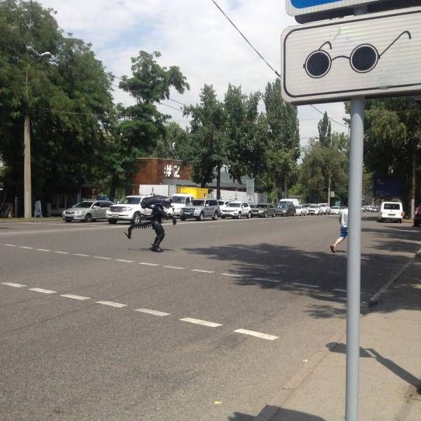 Подборка интересных и веселых картинок