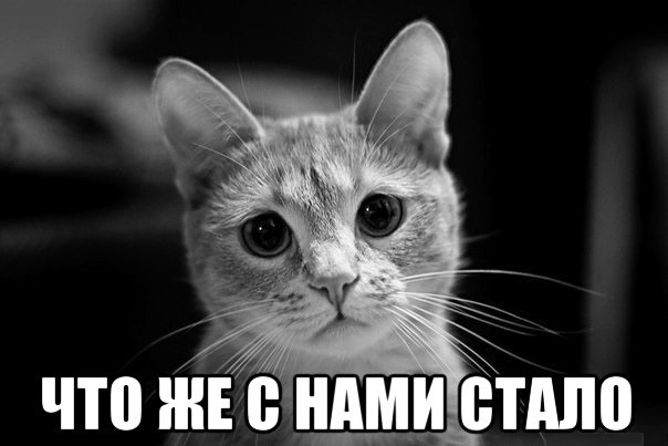 Женские татуировки