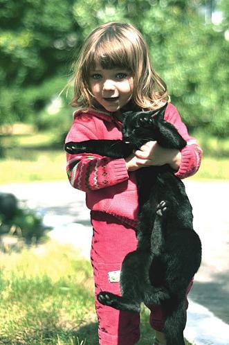 Девочка, флегматичный кот и соска